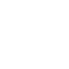 Fiber Optic Connectivity